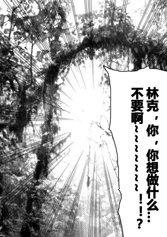 ゼルダの伝説親藩