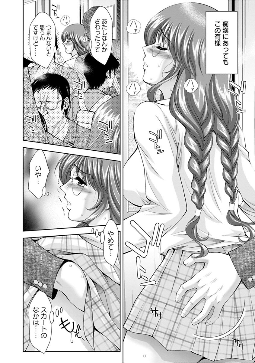 Bi Maso Festa-マグワイのメス肉