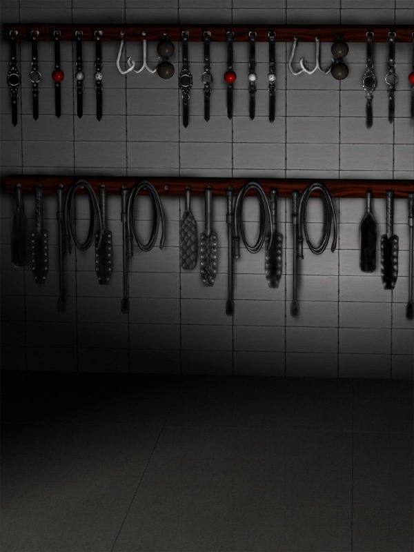 H.S.C.イラスト集Ex.4