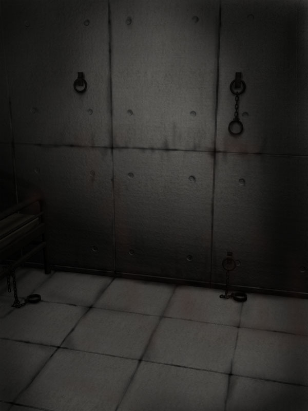 H.S.C.イラスト集Ex.4