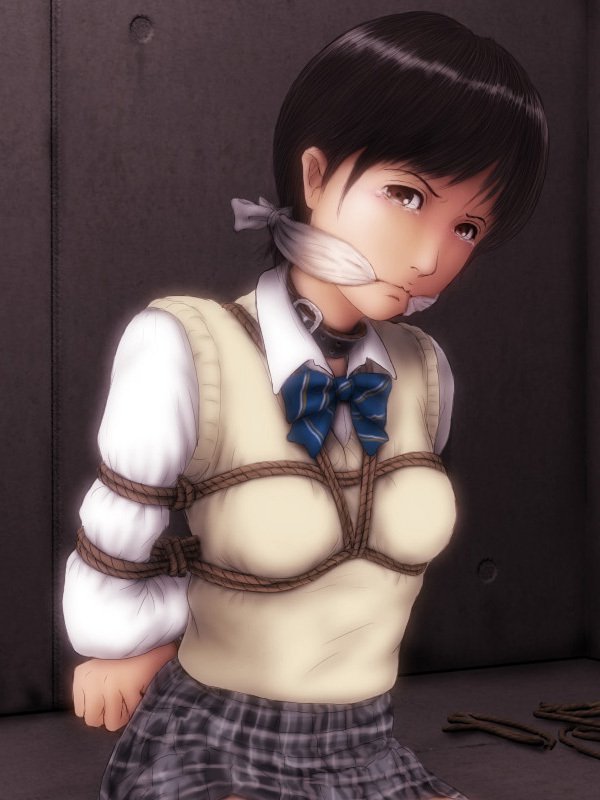 H.S.C.イラスト集Ex.4