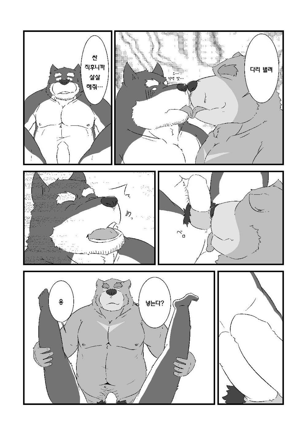 熊と犬がいちゃいちゃするけの本