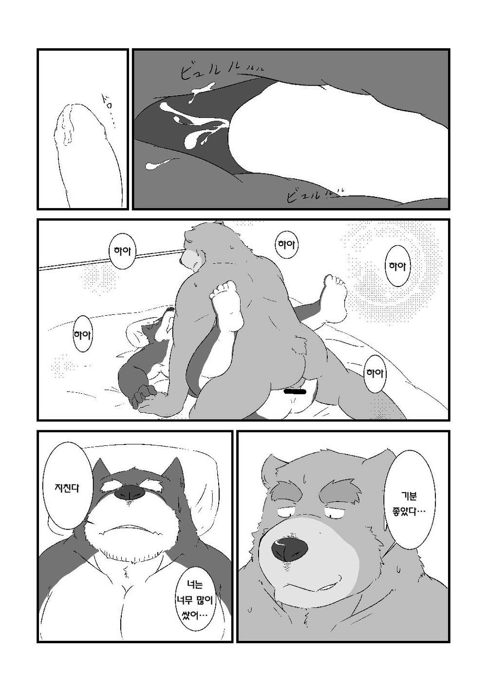 熊と犬がいちゃいちゃするけの本