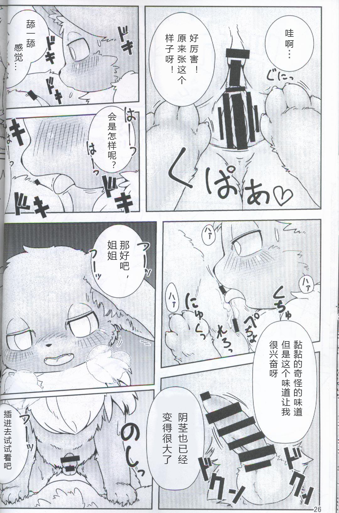 ブイズNLアンソロR18本【東LR32a】