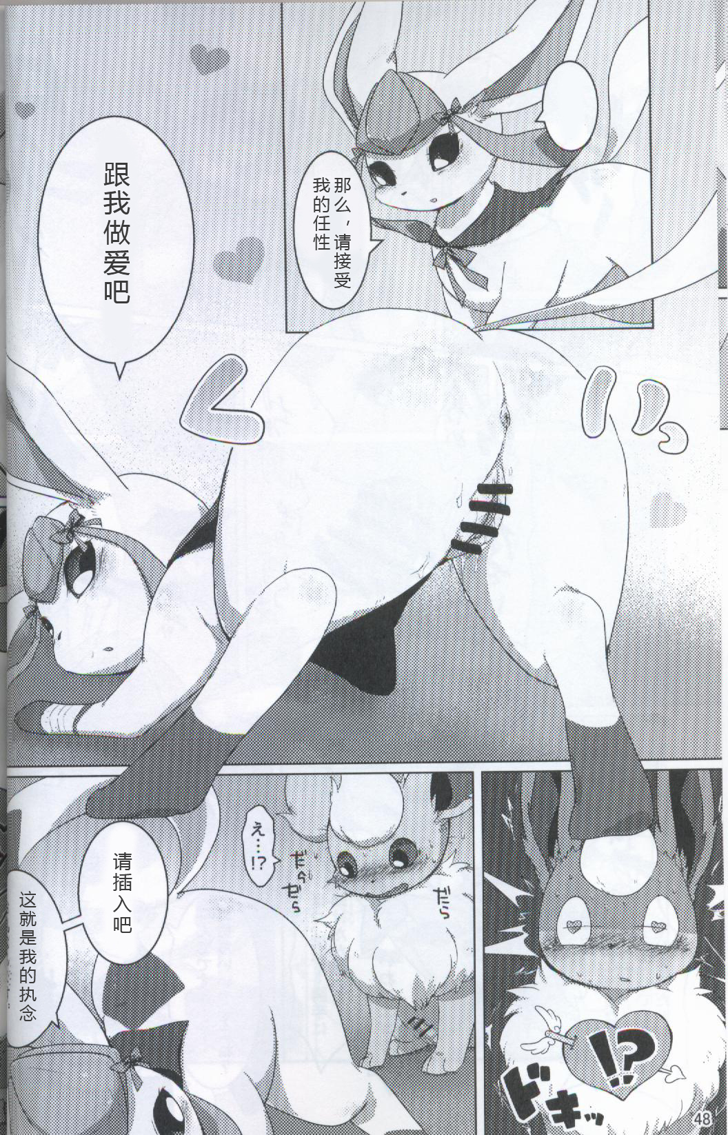 ブイズNLアンソロR18本【東LR32a】