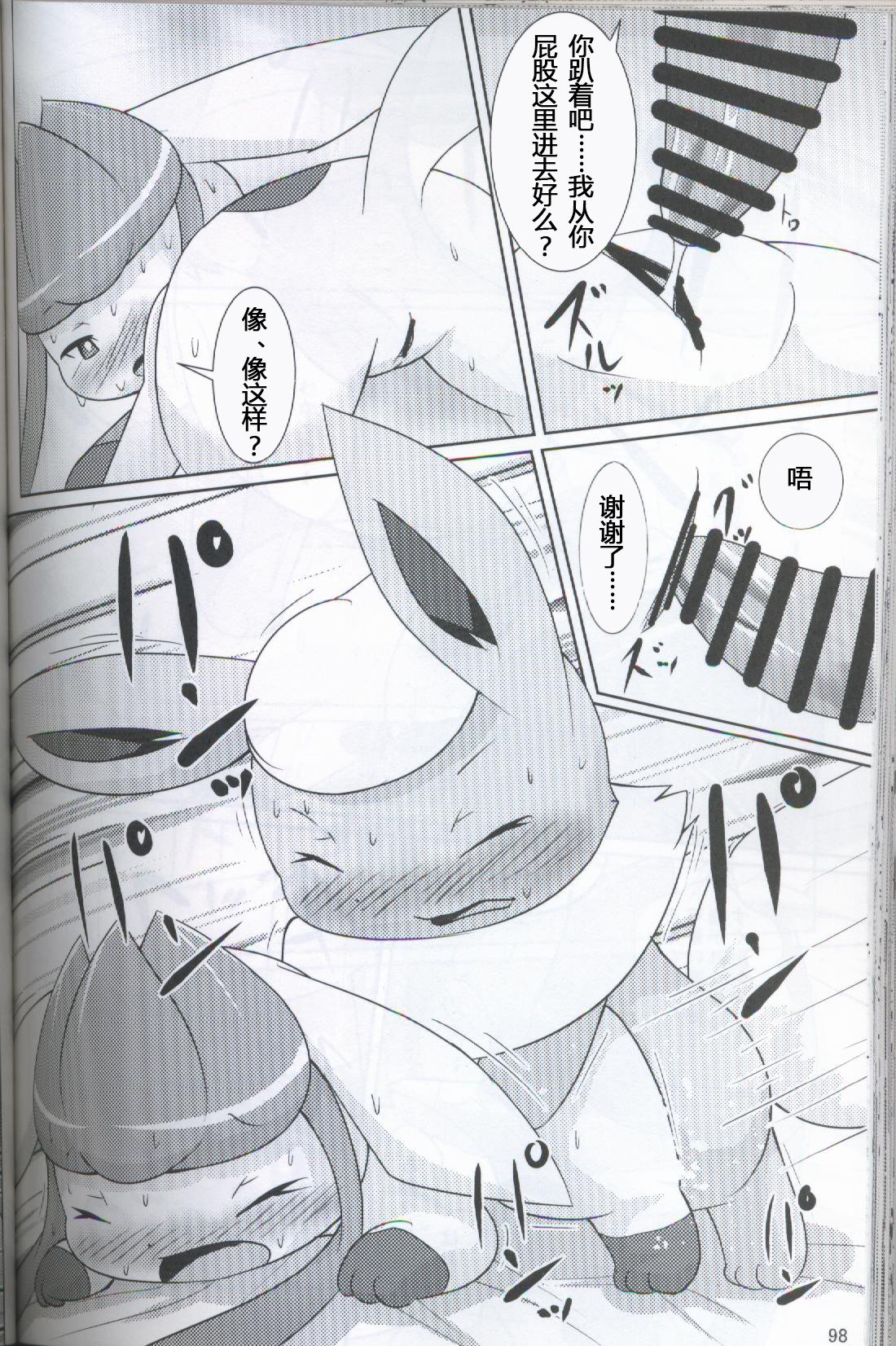 ブイズNLアンソロR18本【東LR32a】