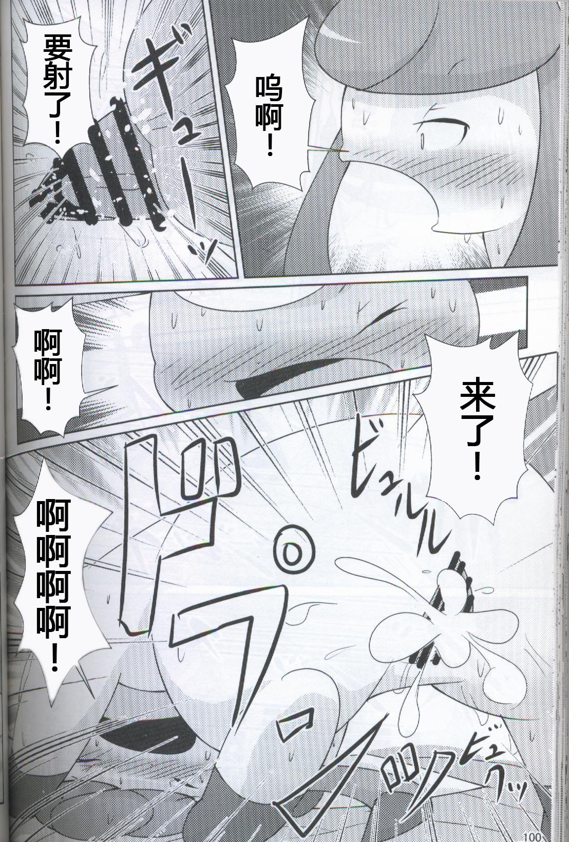 ブイズNLアンソロR18本【東LR32a】