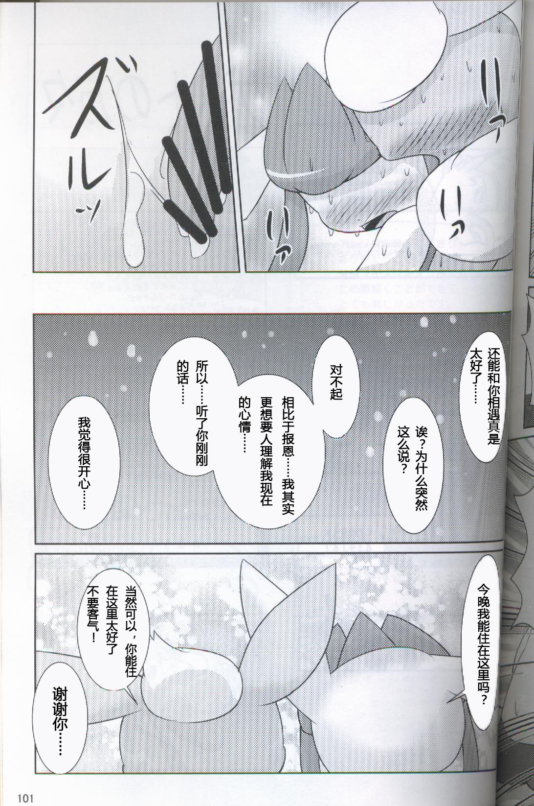 ブイズNLアンソロR18本【東LR32a】