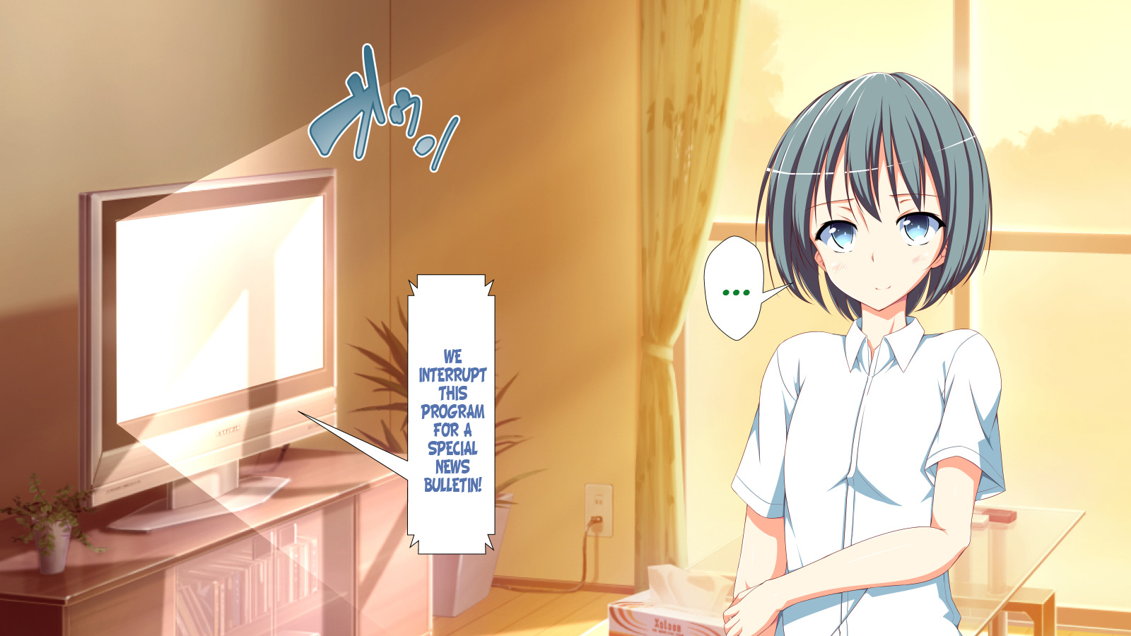 インランウイルスCh。 1-2、5