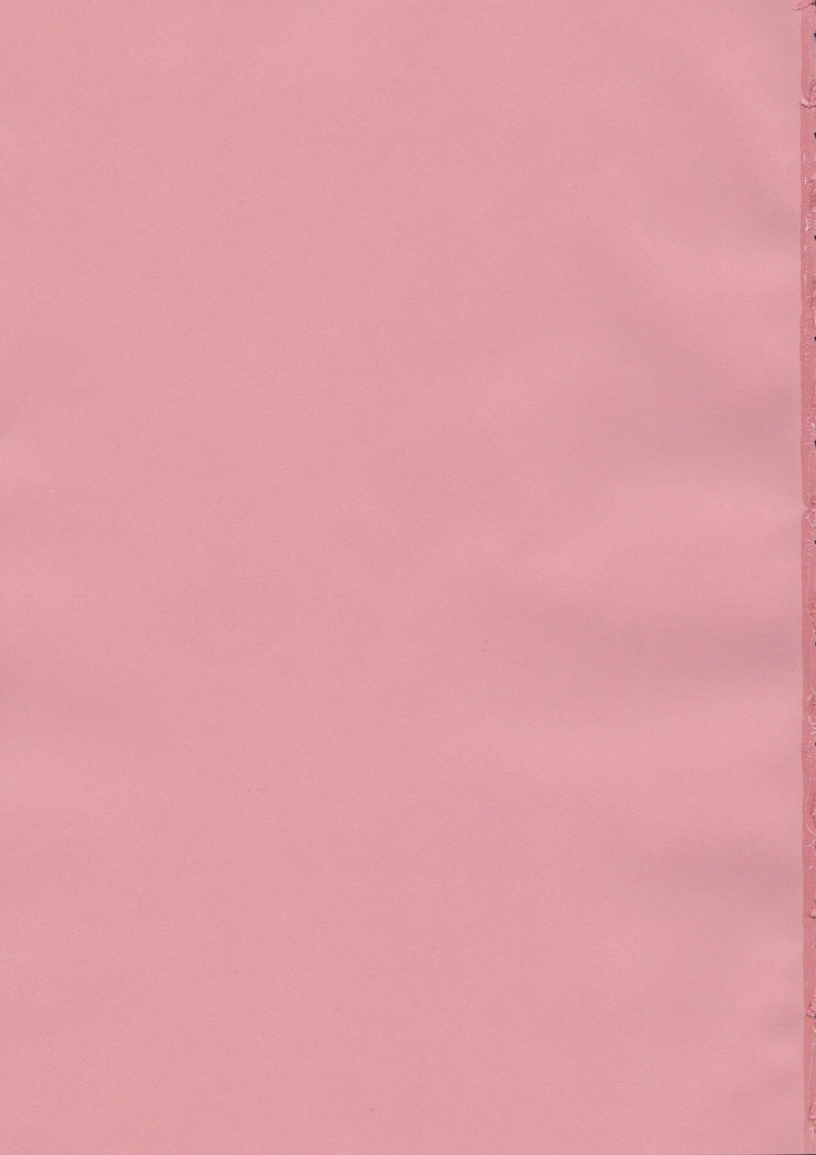 俺を好きなのない！