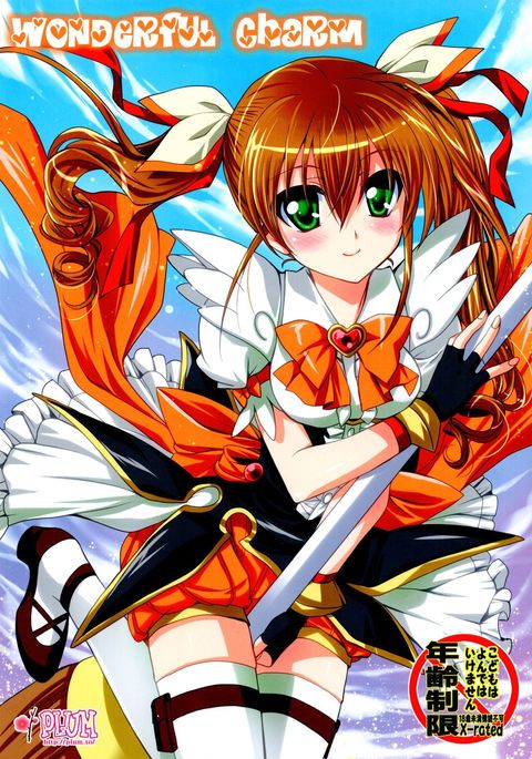 素晴らしい魅力