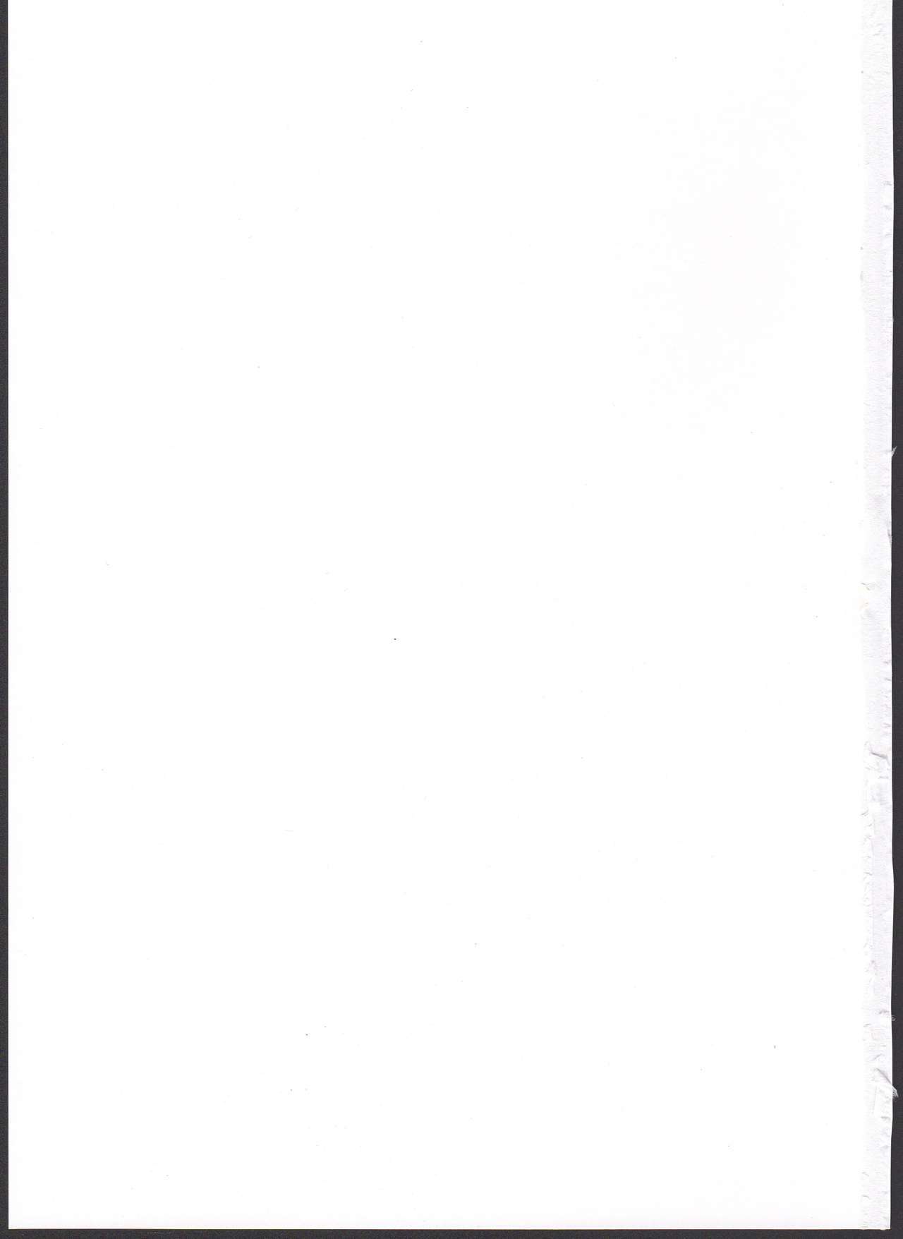 ウィッチビッチコレクションVol.2