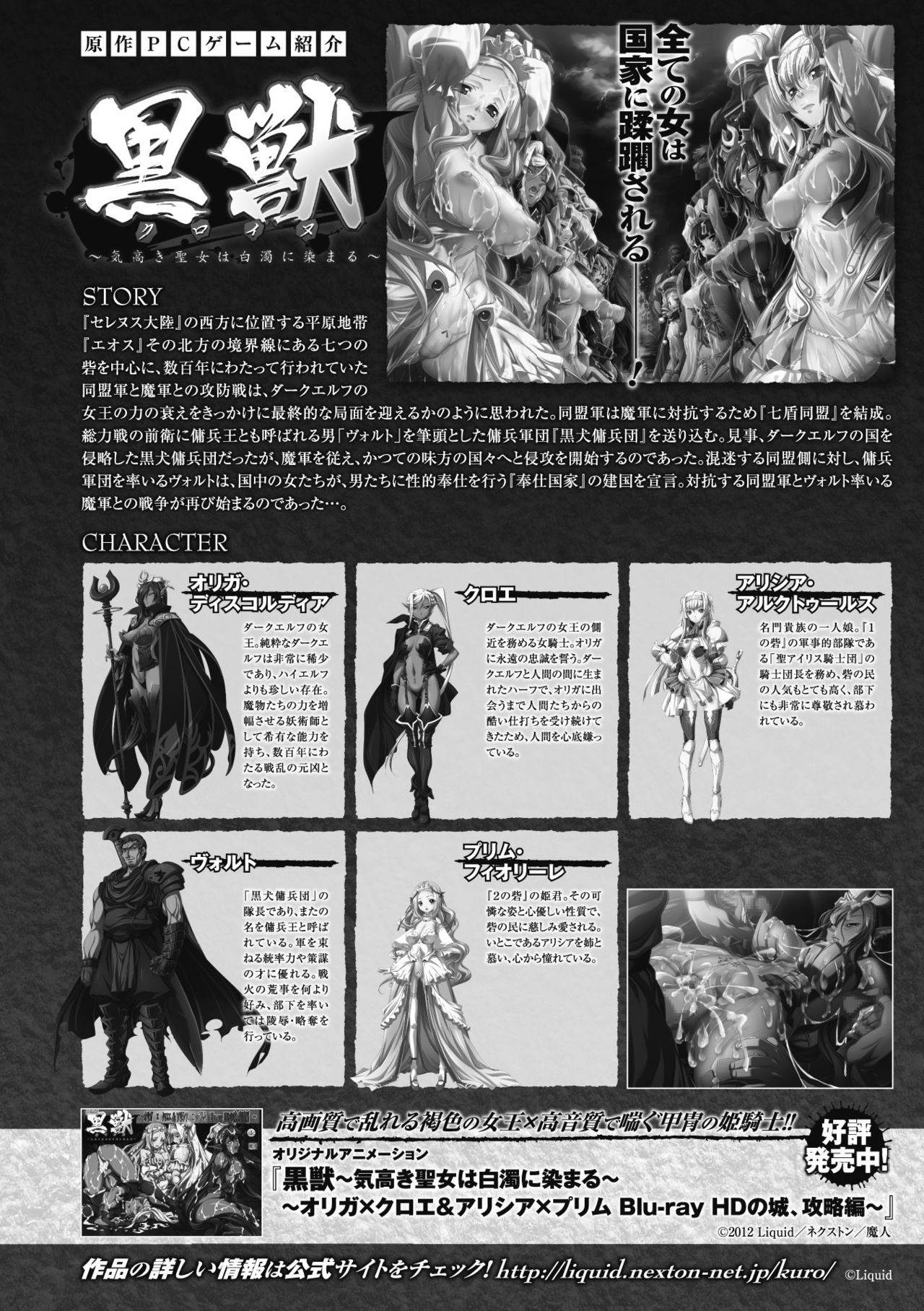 聖霊のヒロイン関国ファイルVol。 5