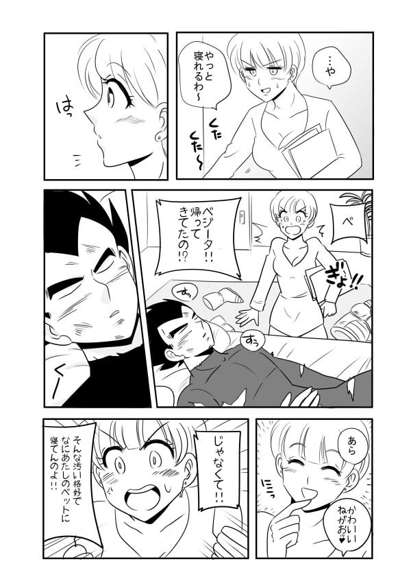 ベジータ×ブルマ