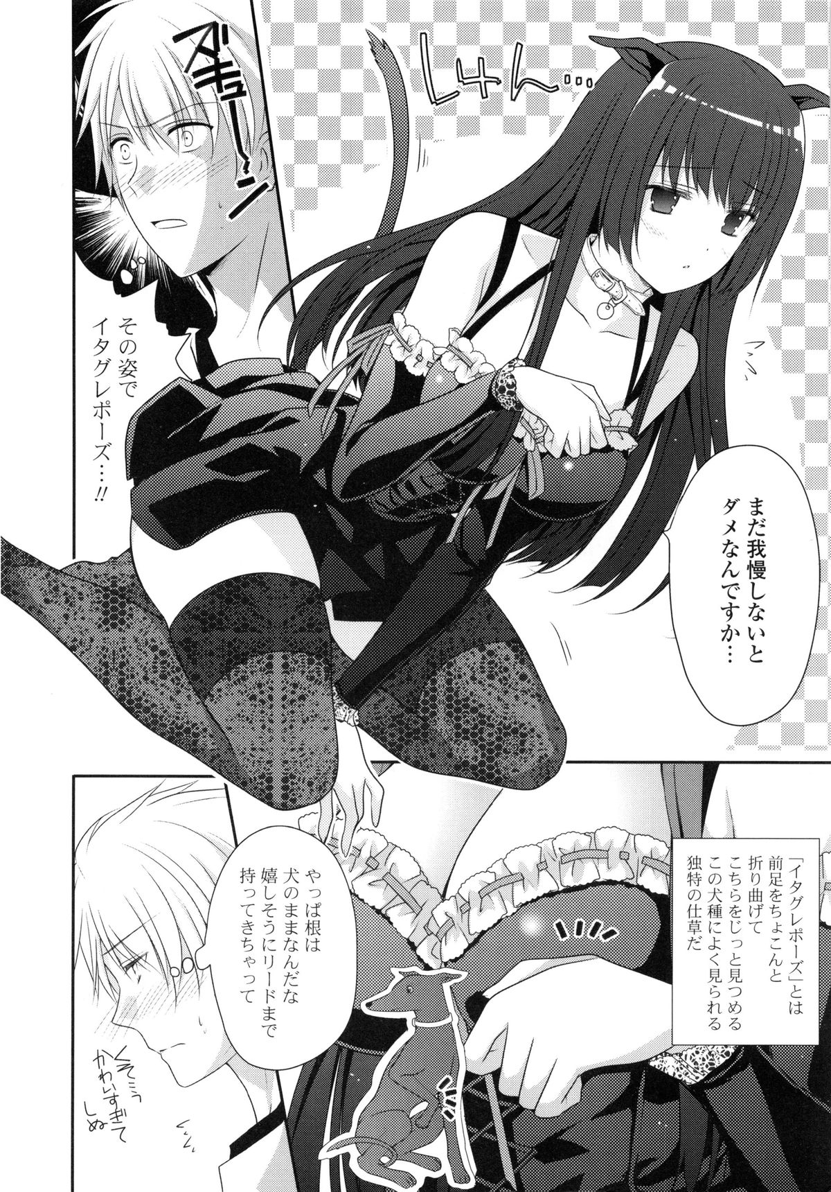 ピュアクロスラブ