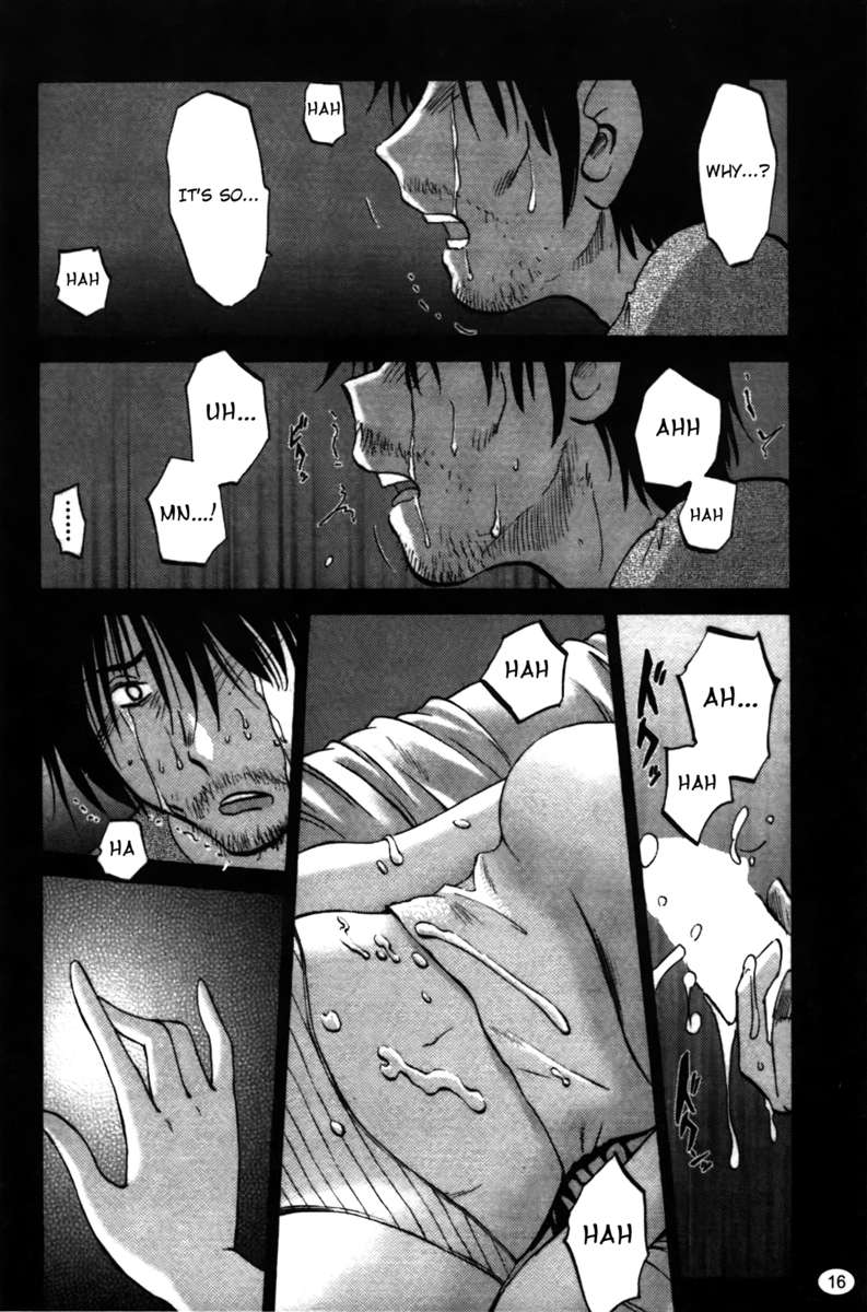 シェードの虹彩Vol。 2