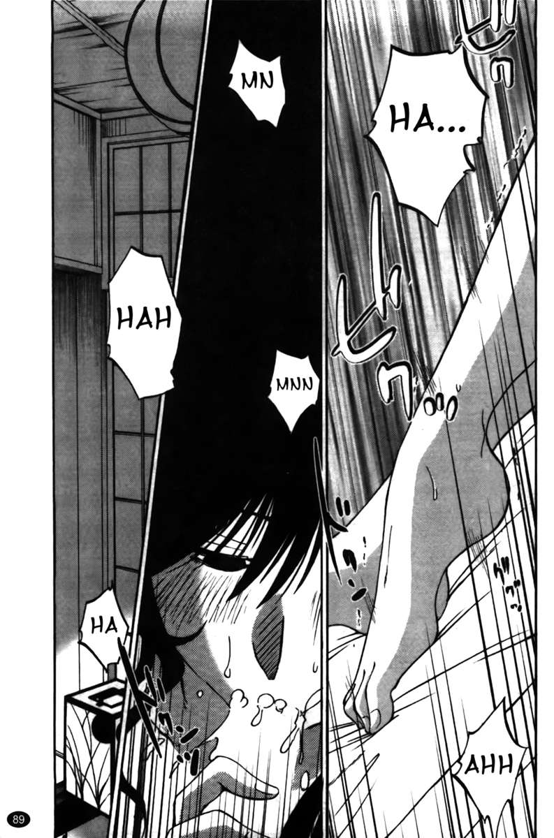 シェードの虹彩Vol。 2