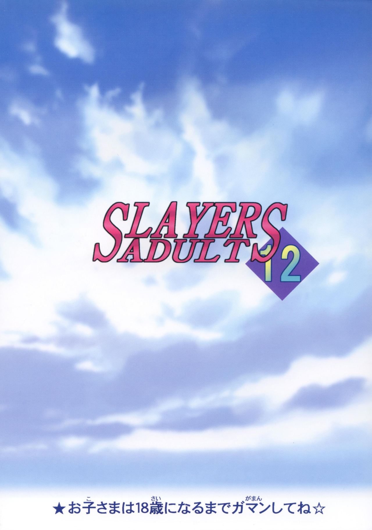 SLAYERS ADULT 12