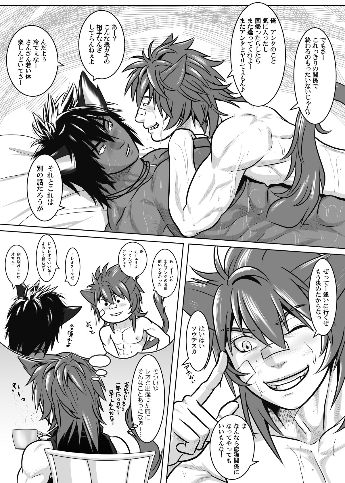 バニラリンクストライエッジ2