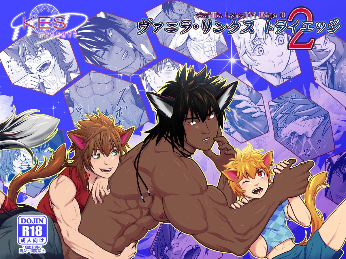 バニラリンクストライエッジ2