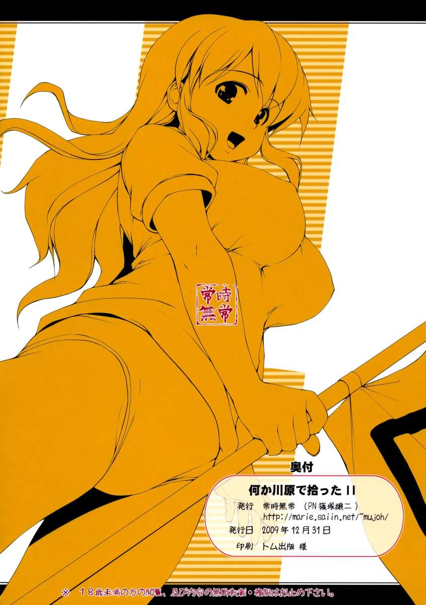 ナニカカワラデヒロッタ。 II