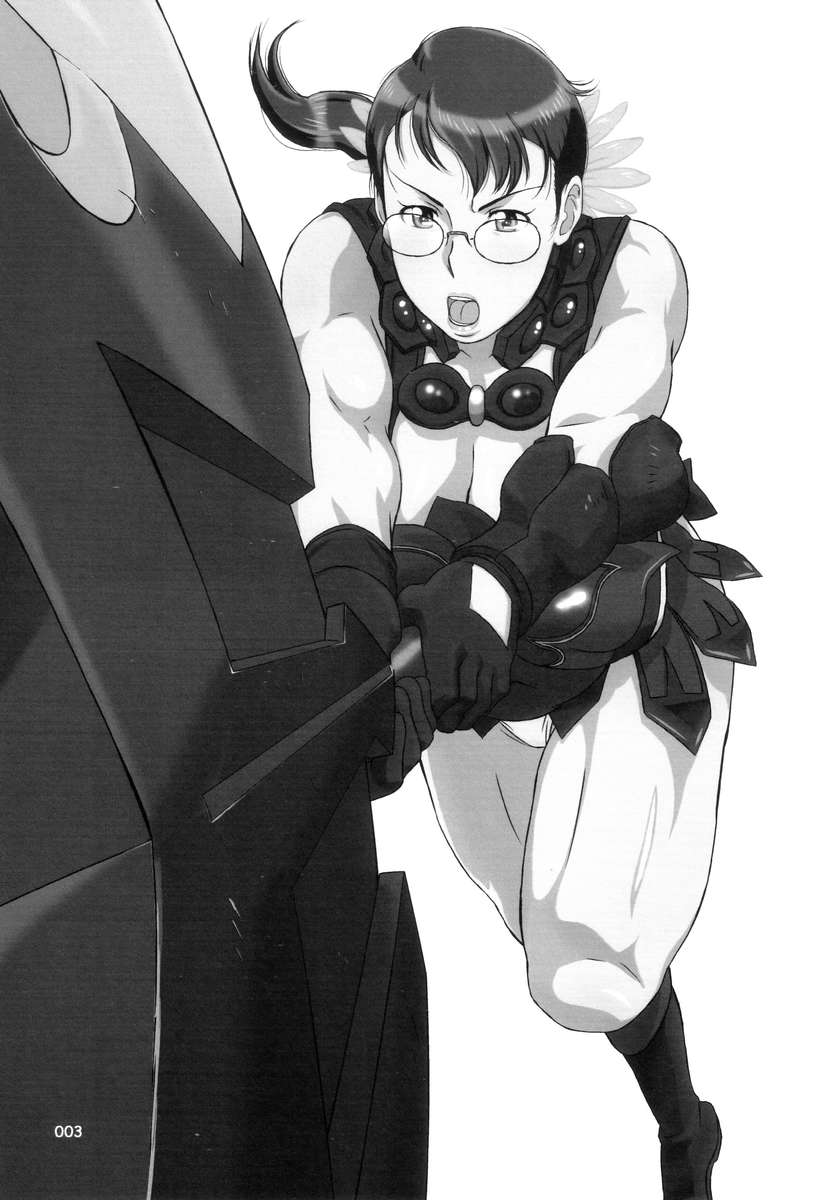 パッケージ-肉4.5