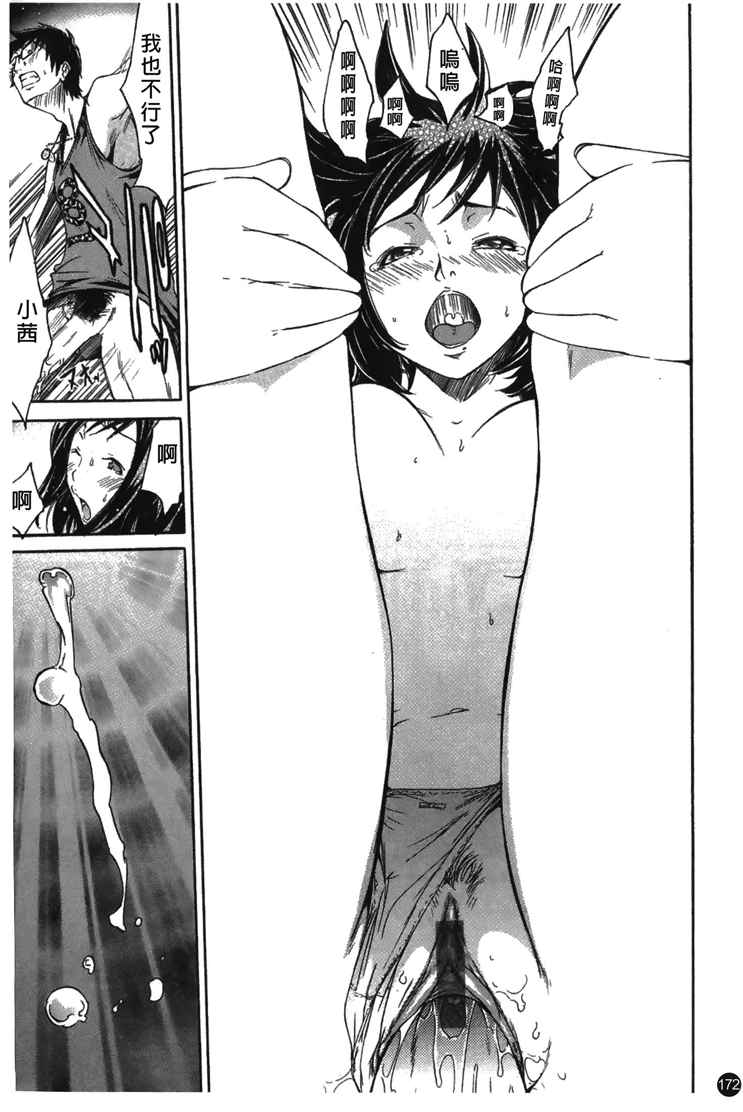 なでしこなつ|夏日撫子