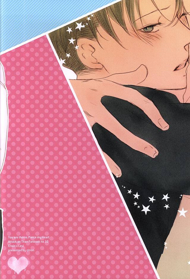 君は鉱石の新蔵を月笹峠