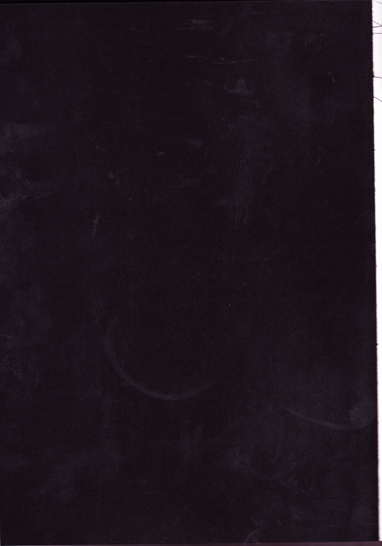 シーザーサラダオンタマノーズ