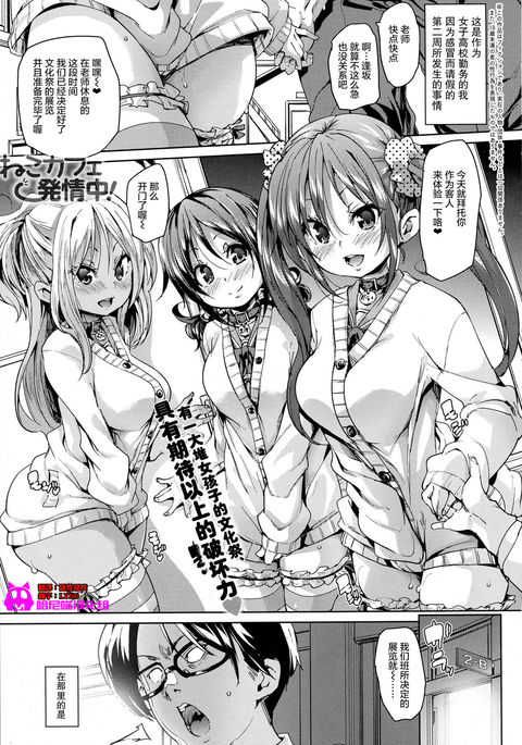 ねこカフェ初城中！ |猫咪咖啡़情中