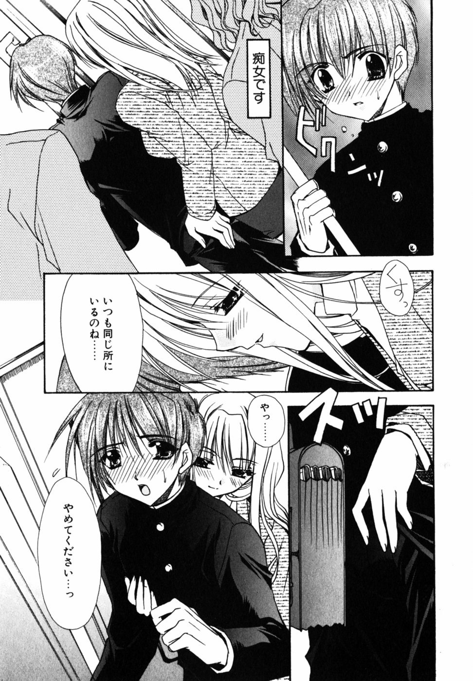 Cのカジツ-Cの果実