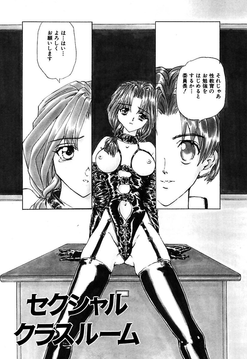 マロカニンのベスト