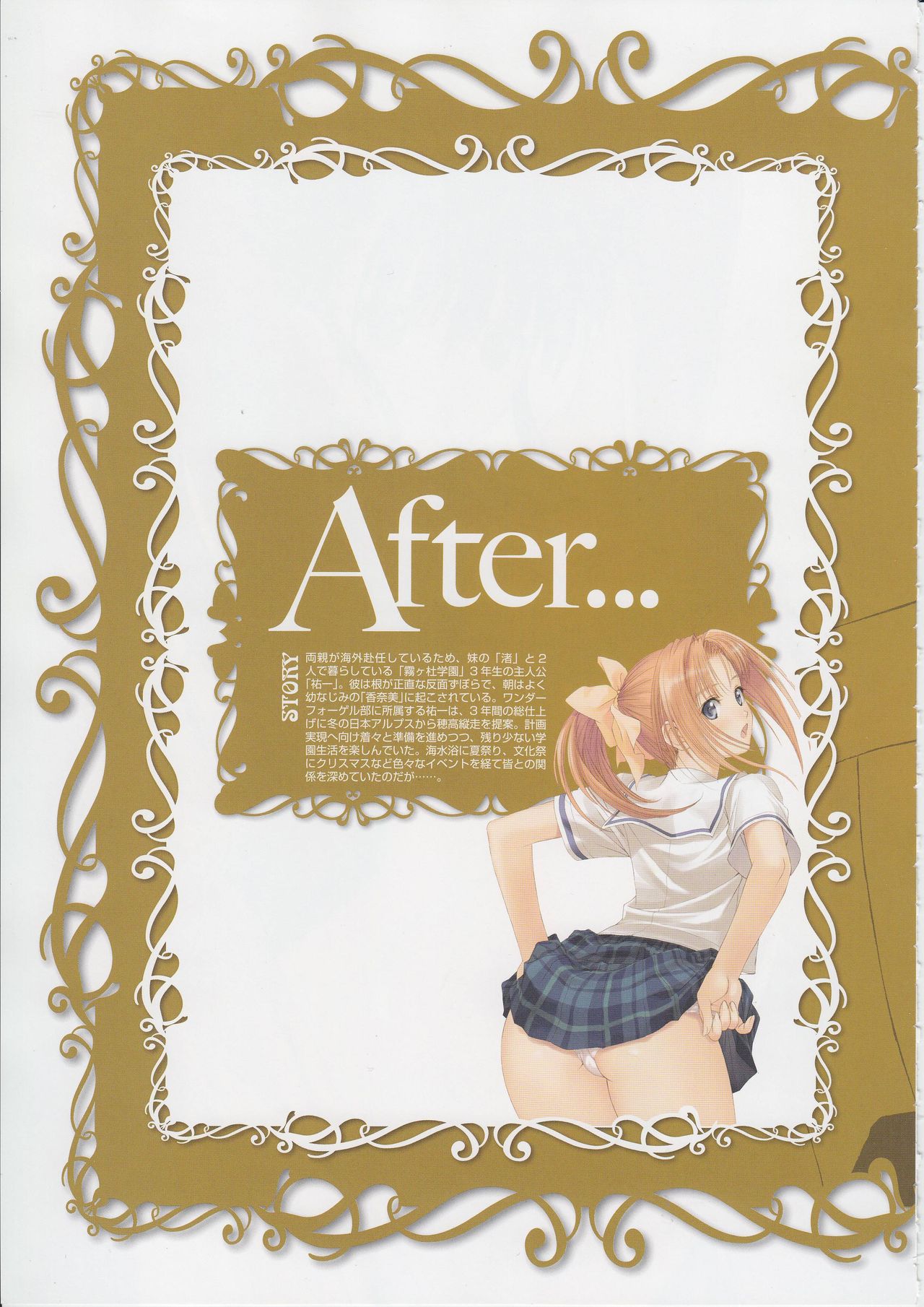 トニーワークスシエルクロニクル