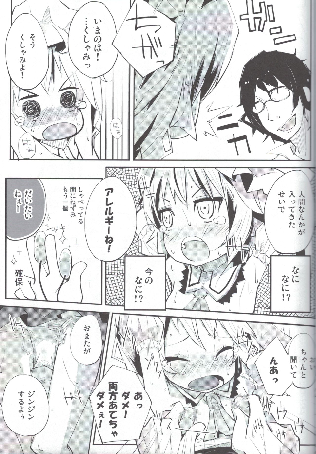 (例大祭8) [鳩小屋 (駿河りぬ)] フランとあのあのっ (東方Project)