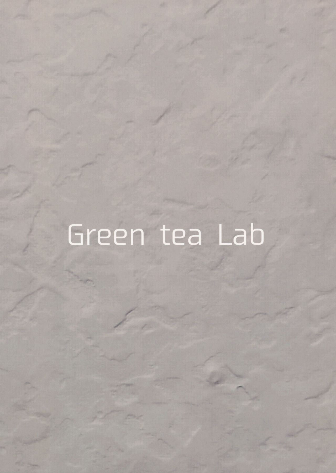 (例大祭15) [Green tea Lab (midarin)] 文ちゃんの内緒の密着取材 (東方Project)
