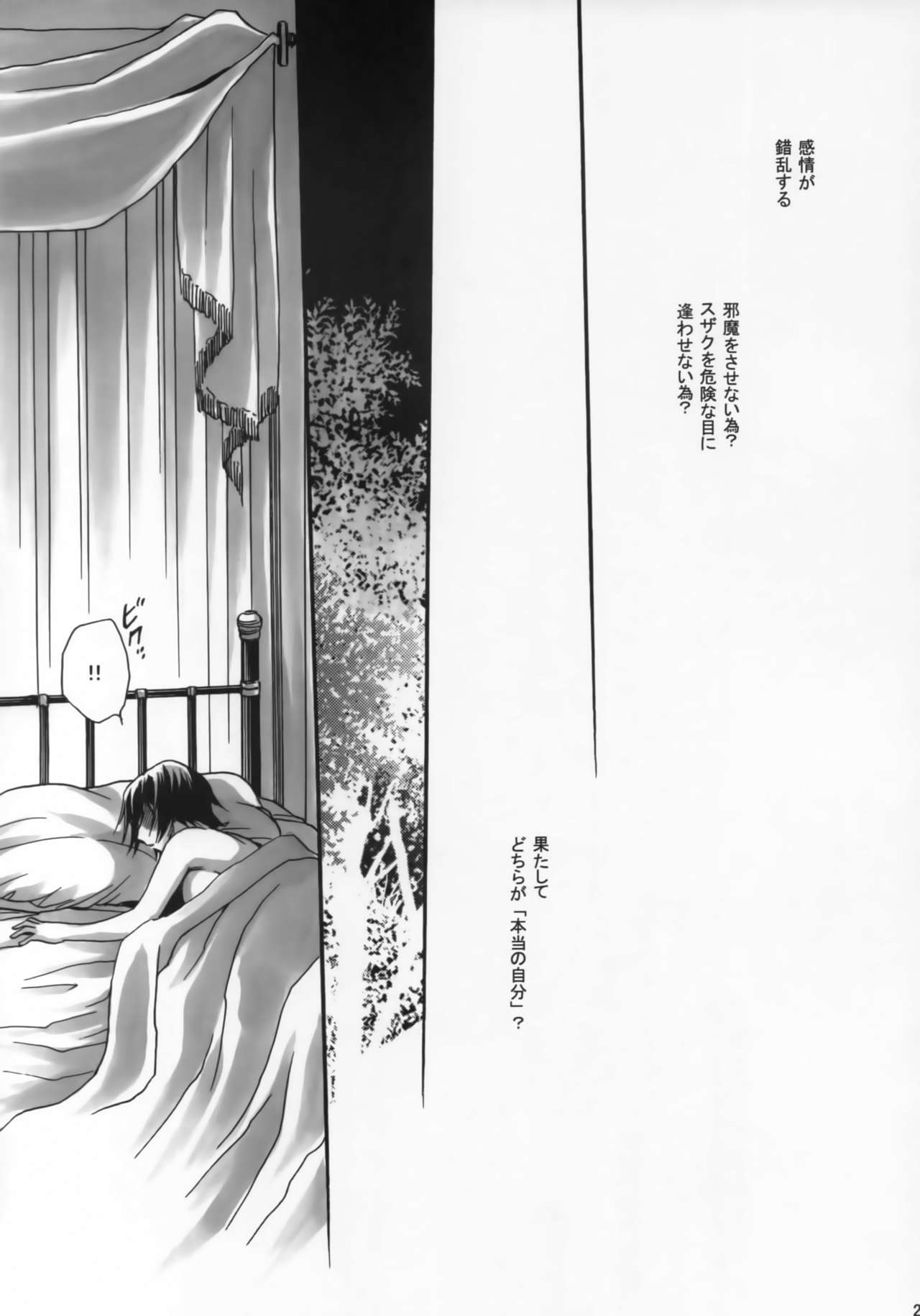 (HYPER CONTRAST) [にゃごズ (夜天月)] 輝閃光月 (コードギアス 反逆のルルーシュ)