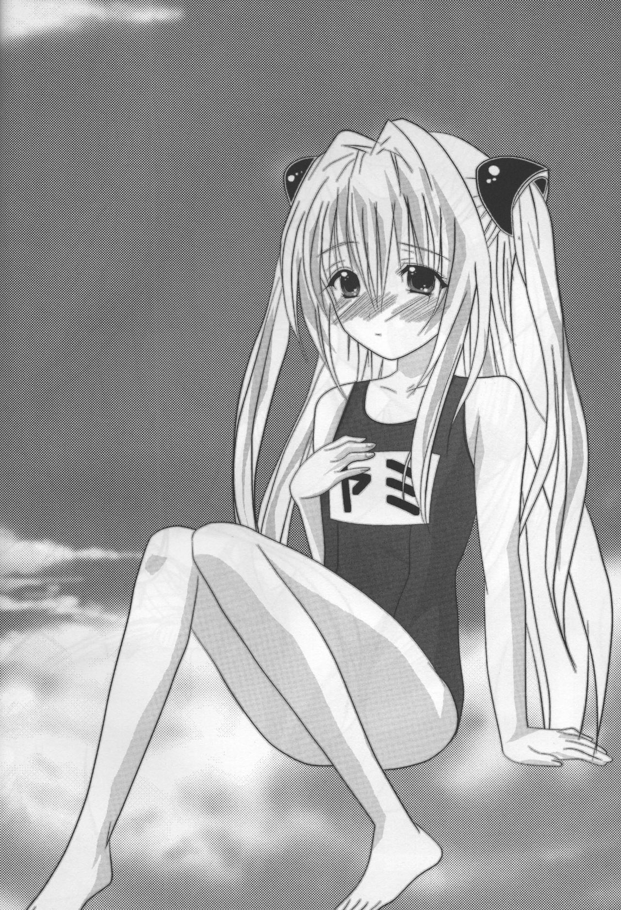 (C95) [雪月花 (冬川)] C95 To LOVEる -とらぶる-の本 (To LOVEる -とらぶる-)