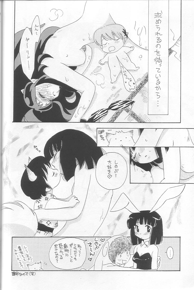 (C64) [アトリエサヴァ (よろず)] EVERYDAY, I fall in love (うる星やつら)