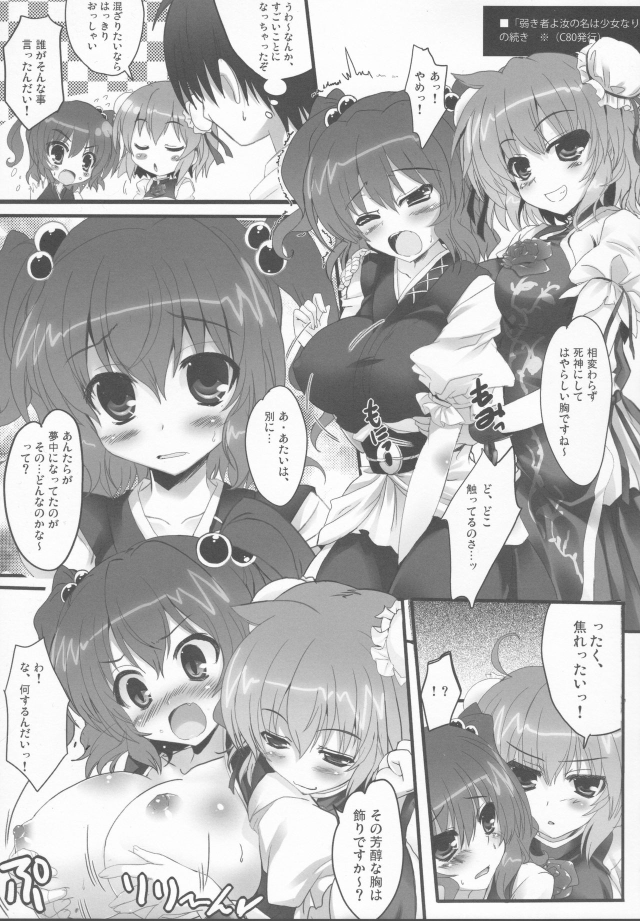 (こみトレ21) [HappyBirthday (丸ちゃん。)] 弱き者よ、汝の名は少女なり。2 (東方Project)