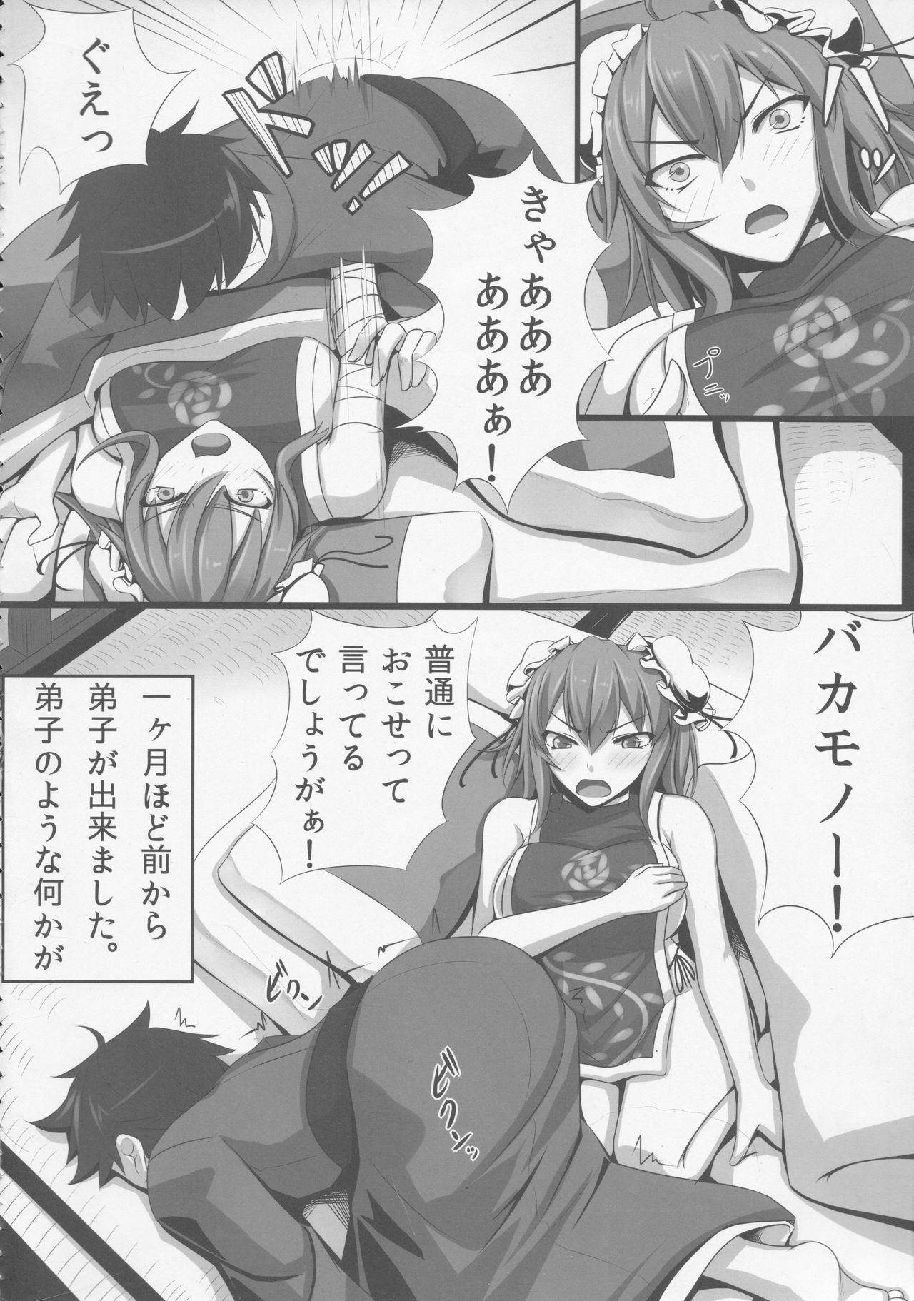 (例大祭11) [黒白デザイア (秋月からす)] バカモノックス (東方Project)