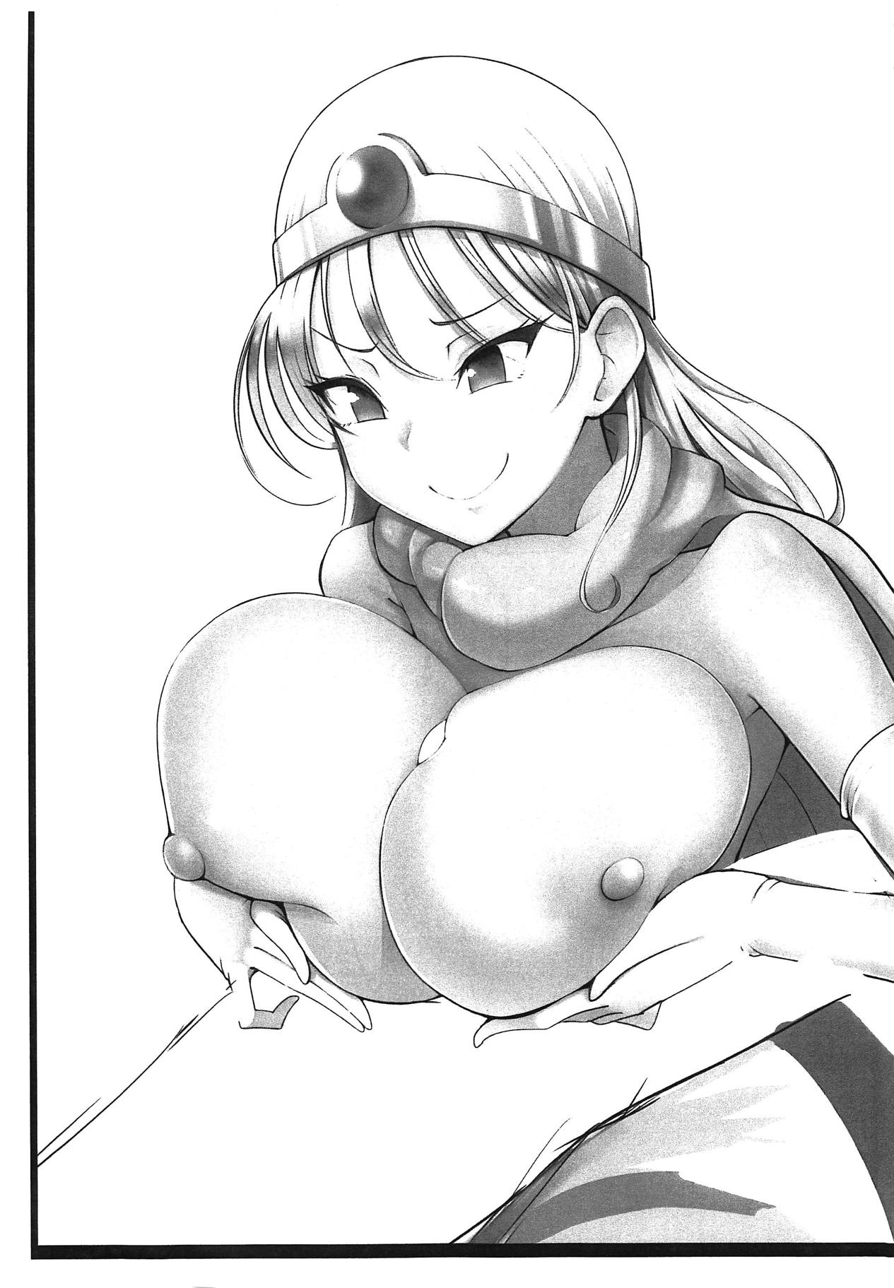 (C95) [あれあれえ (areee)] 2018冬ゴメンナサイ本 (ドラゴンクエストIV)