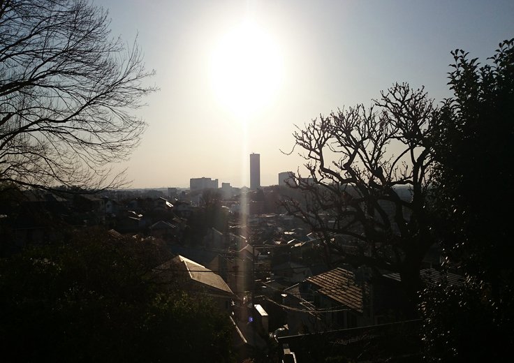 강제성전환MMO서번트-에즈2