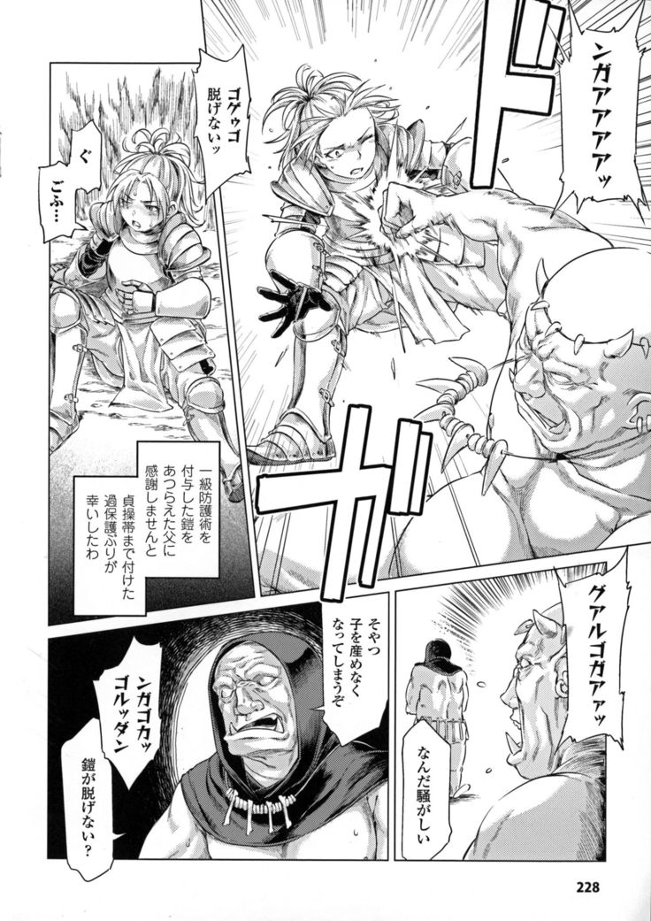 聖霊のヒロインカンゴクファイルDXvol。 6