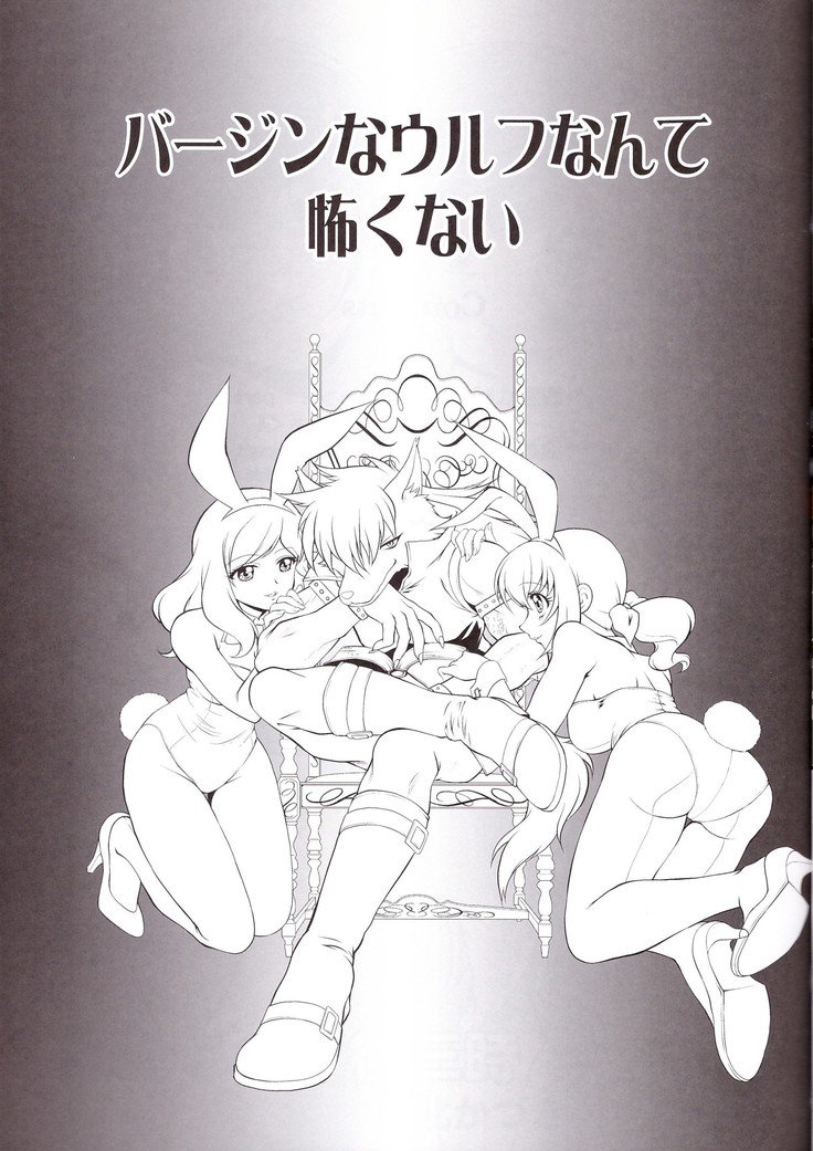 ヴァージンナウルフナンテコワクナイ