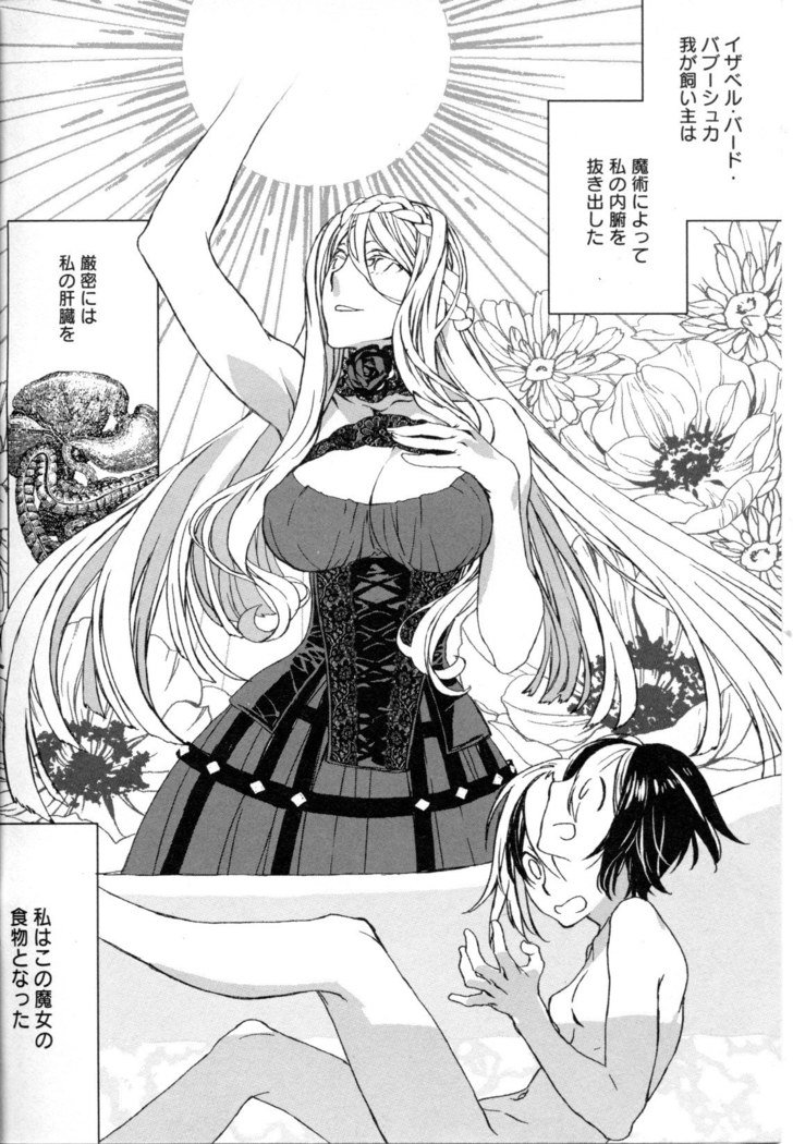 メバエVol。 5-鮮やかな女の子の愛