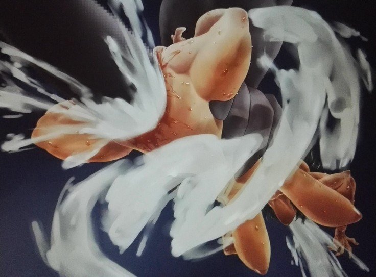 アマゾンの包括的な恥辱