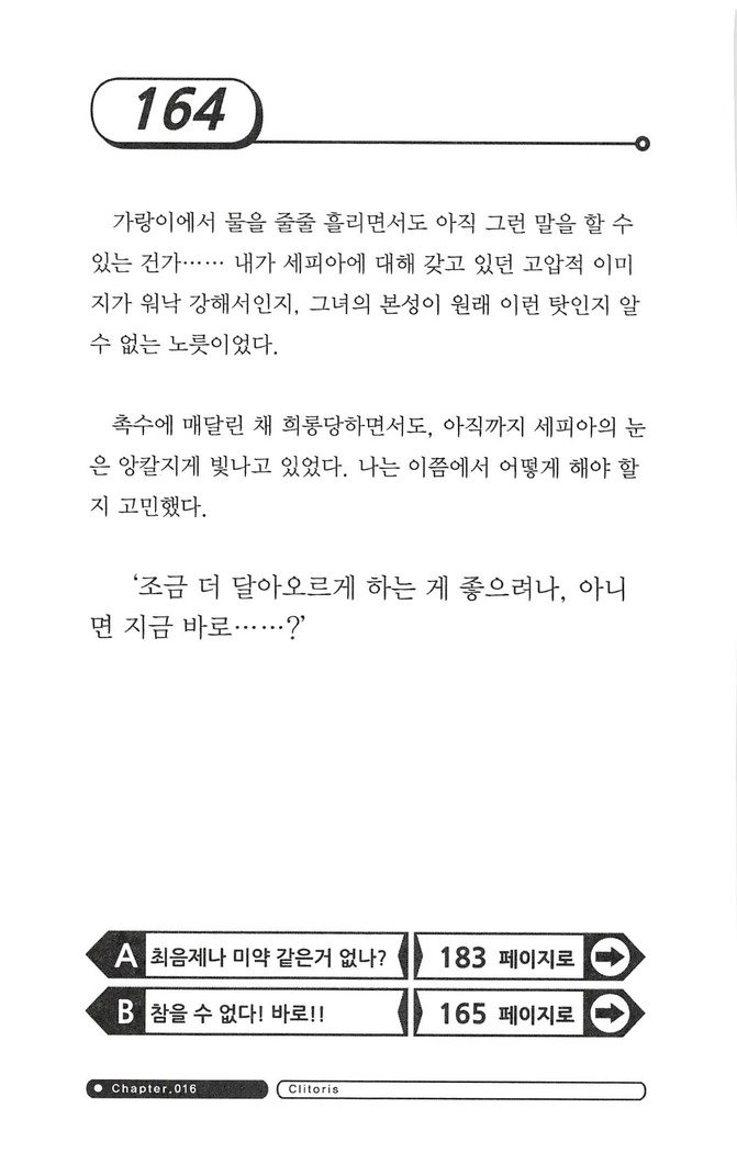 최면게임 - 타락하는 공주기사