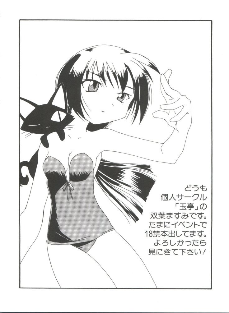 ナルヒナプラス3