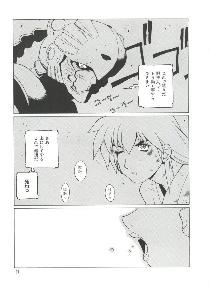 ナルヒナプラス3