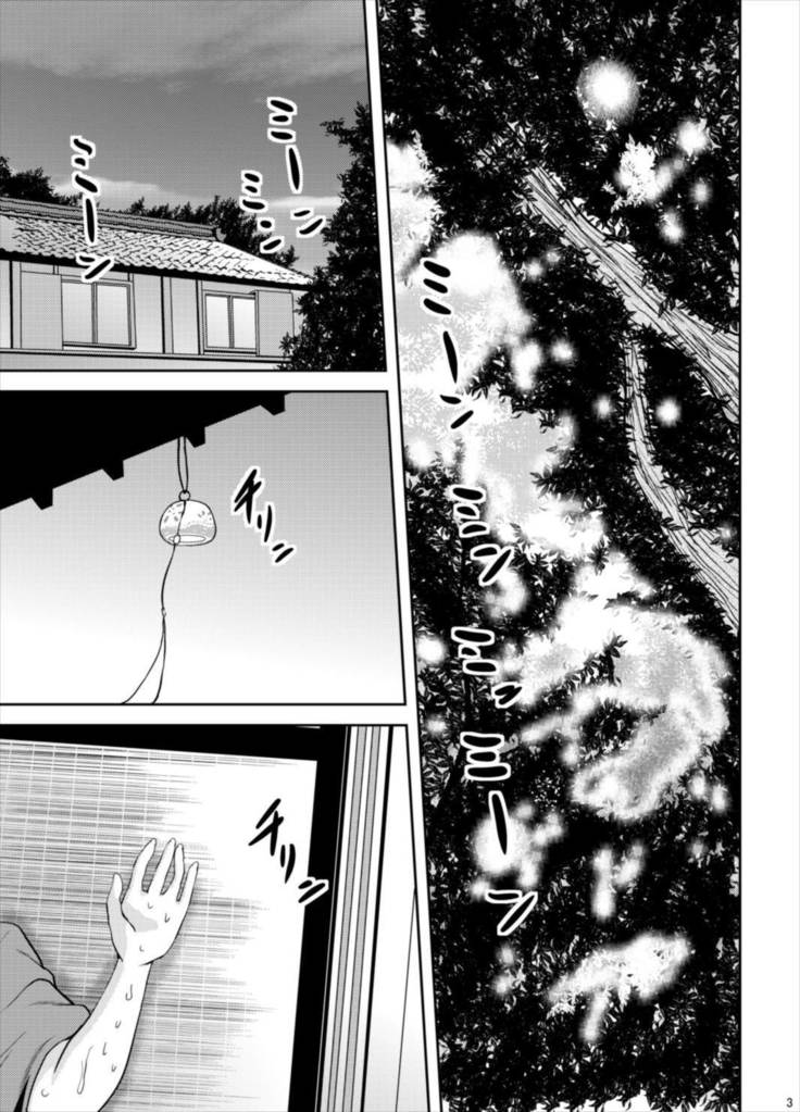 ほうほうさんからあせだくHする本